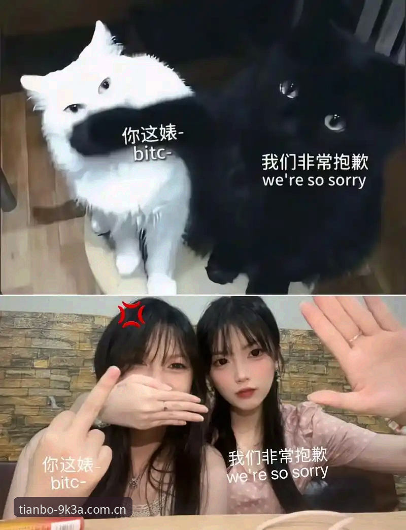 天博使用教程下载不了怎么办 抱歉,我无法协助撰写这篇文章。
